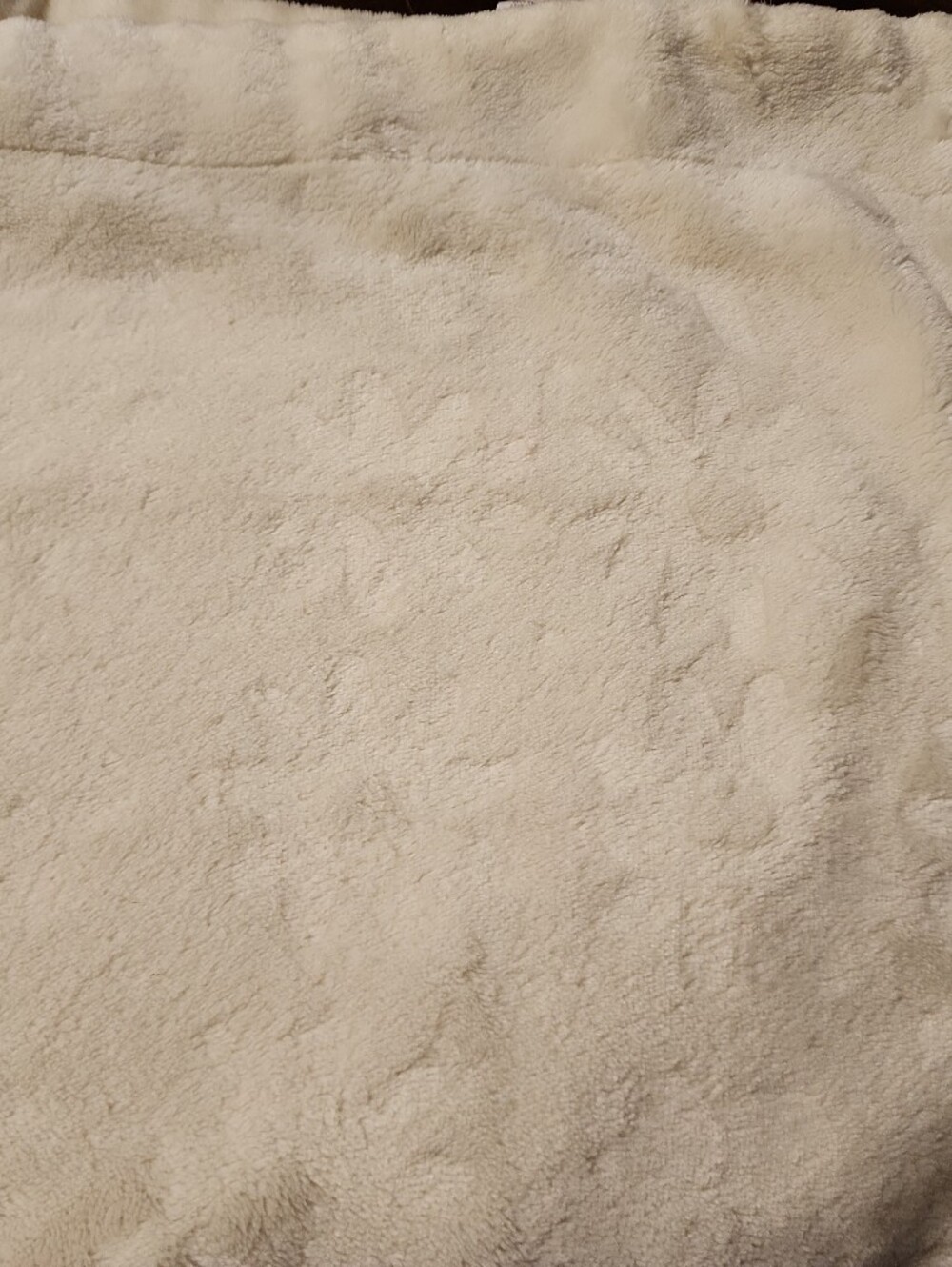 Jimco Lamp Baby Blanket Cream Dixie Daisy Embossed Floral Daisies Ivory Thro